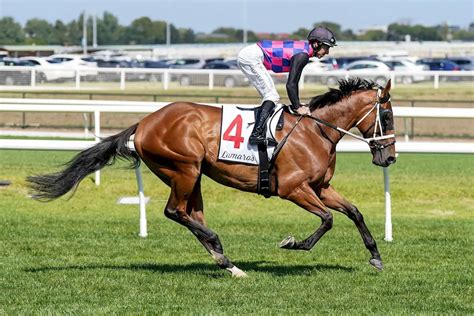 kingston town classic betting|2023 Northerly Stakes Betting .